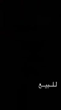 دراجه نامه   للبيع   أوراق سكنر كامله 7  السعر من الأخير 850  دراجه وك...