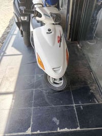 فراشه • نضيفه • مراوس عادي