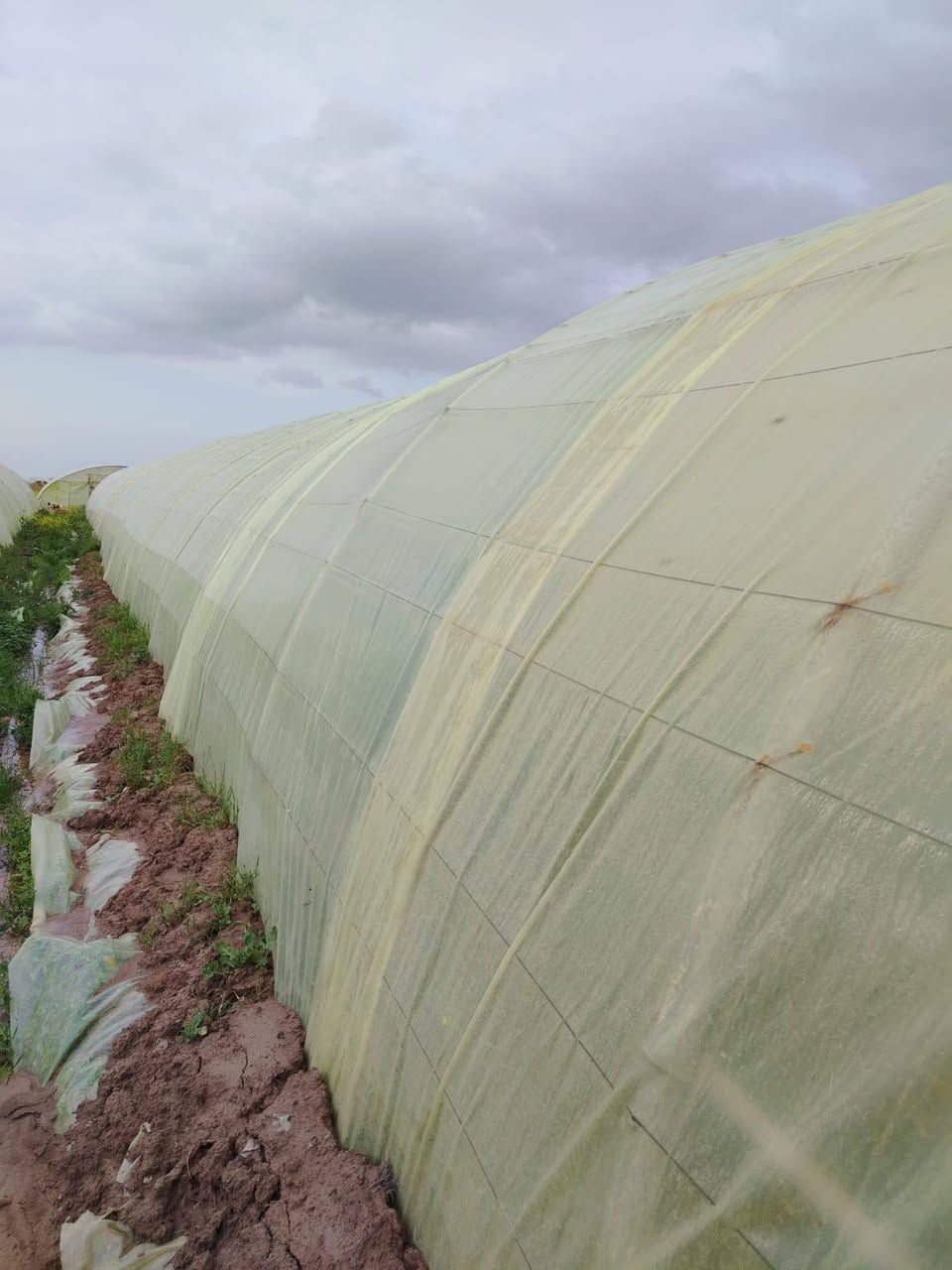 السلام عليكم عندي ثلاث بيوت
النوع لبناني 22 قوس الطول 52 متر العنوان ديالى ***********
