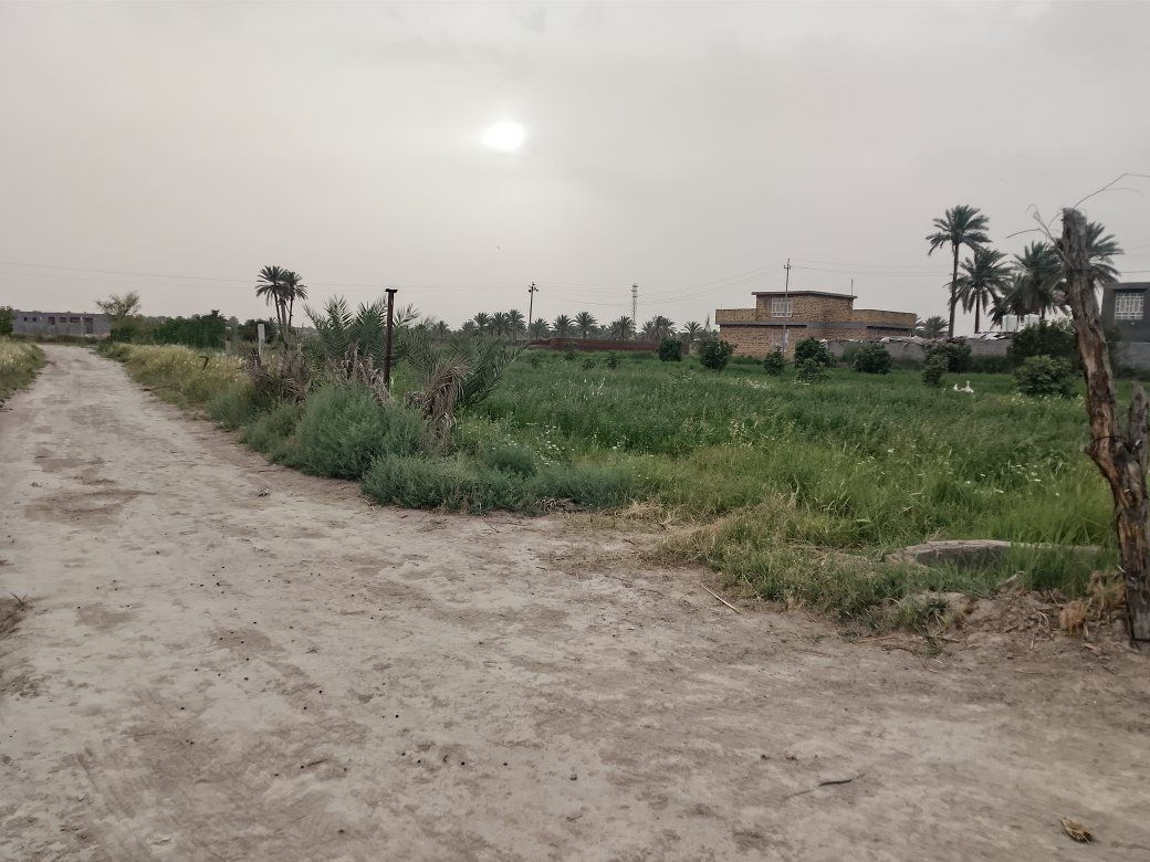 السلام عليكم يوجد لدينا دونم للبيع طابو زراعي سند 25 المكان بابل خلف مقام نبي الله ابراهيم الخليل ع الخدمات واحد على واحد السكن امامكم الاستفسار***********
