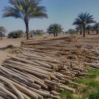 تكم • ٣م-٣٫٣٠م • بابل ابو غرق