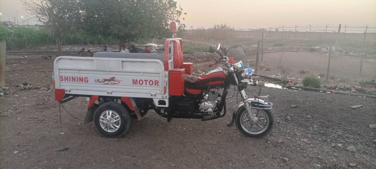 ستوته شاخوان فحل عالي قلاب كلها شركه بلادي سعر مليون و750 وبيها مجال ***********
