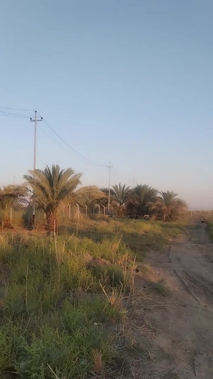 سلام عليكم كاع لبيع تفاصيل بل مقطع ***********
