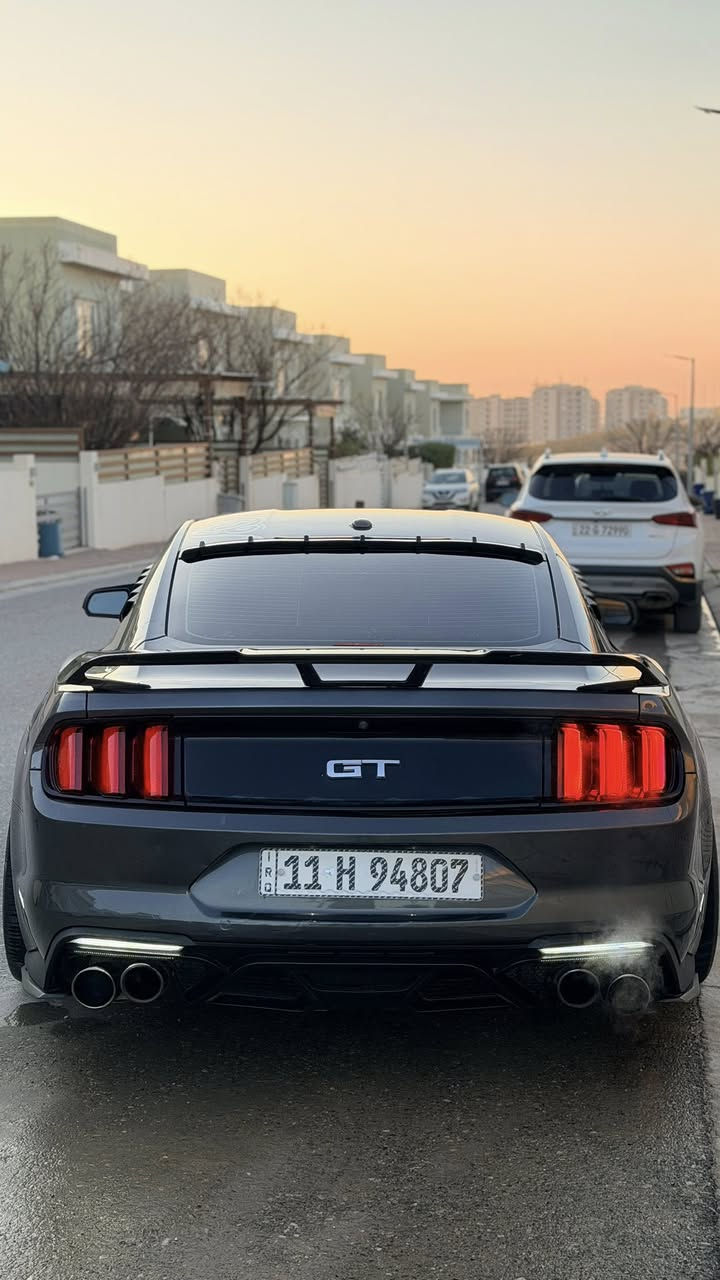 موستانك GT 
2016 
فول فول اعلى فئة بريموم 
راداررات جانبية 
حساس خلفي 
كشنات تدفئة تبريد 
سستم صوت شيكر 
دمام خلفي 
انارة ترحيب 
دشبول 7 الوان 
انارة داخلية 7 الوان بلادي  
من الاخير اعلى فئة بالموستنك 
السيارة بيها 5 قطع صبغ واني ابيع حزام 
السيارة جاهزة من كلشي متحتاج ربع مصرف من كماليات ومن ميكانيك 
صدر وتخم ويل وتاير جدد 
مازدات هنسي بجم شيلبي 
ليدات تكساس جانبي وخلفي 
السيارة برمجة ضرغام يعني هاون وبرمجة تخبل 
بلكات ريسنك وفيت بمب ريسنك 
اكزوز تفصال من الطول للطول بورلا 
مكان بغداد وسعر مناسب (128$)
للاستفسار ***********
السيارة بااسمي وهزة جديدة
