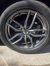 تخم ويل يرهم هورنت جديد مكاني بغداد الدولعي سعره ٣٥٠  ٠٧٧١٩١٠٣٦٥٦