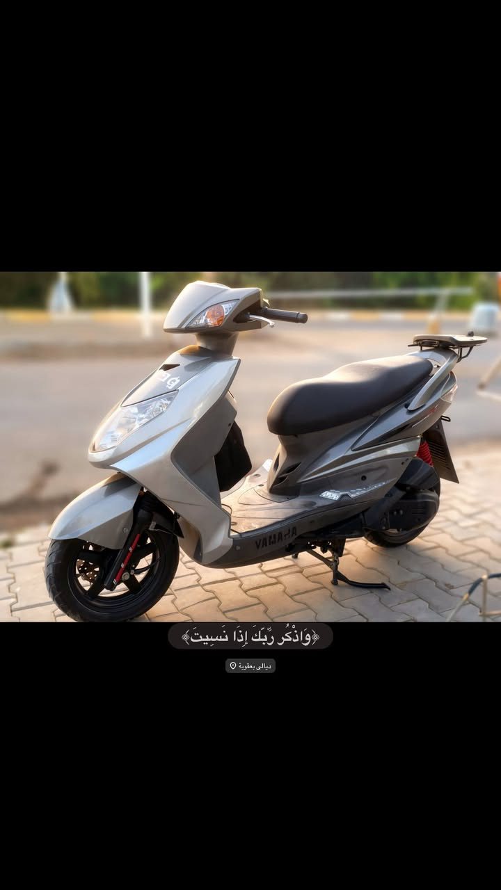 سـكنس فحـل 2007
دراجـه مال رمبه بعدها برغي ما مفتوح بيها 
دهـن امـزويل كـل 15 يوم 
نعومه وشلعه ومعدل 
شرط الكفاله العامه من السرقه 
او اي شي مكفوله لمده يوم من تاريخ البيع 
سعـر الدراجه بمـليون و150 
دراجه رمـبه رجاءً الي مايعرف بيهم لا يحشر خشمه .
***********
