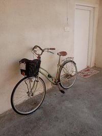 باسكل بناتي حجم 27 باسكل رمبا  صبغ ابلادي ما مصبوغ  مع سيبايا  مع رقم ...