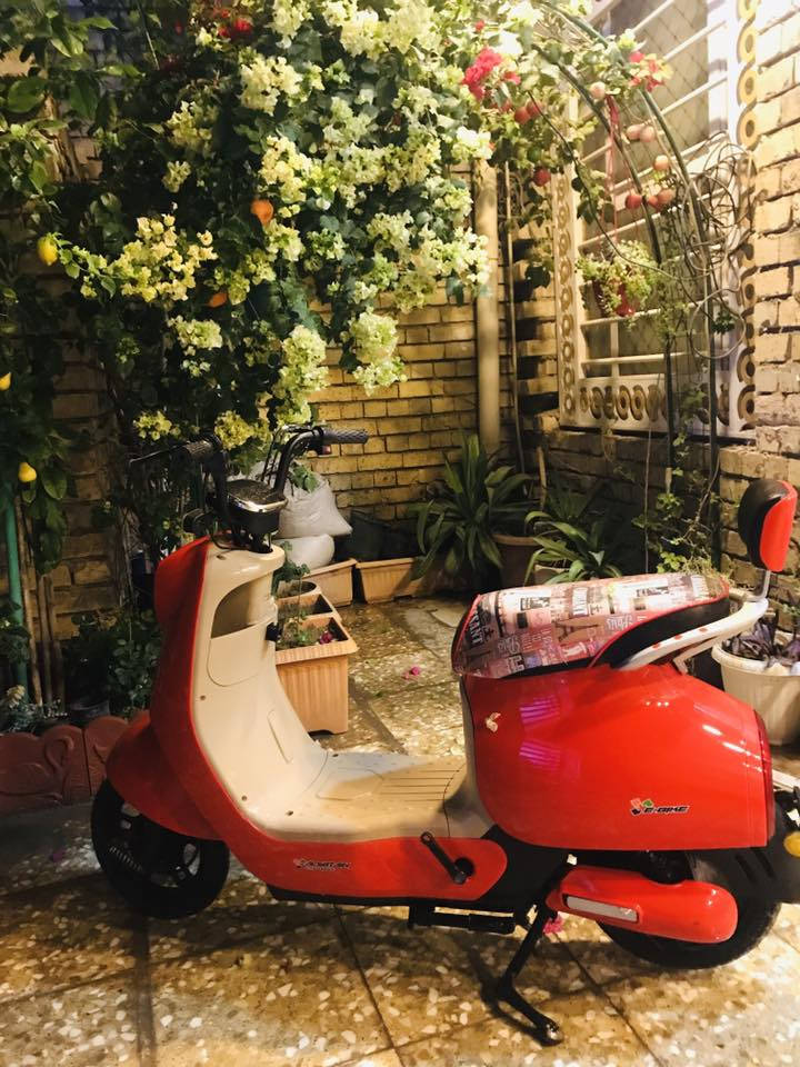 دراجة شحن البيع   🛵

لايت ورة وكدام شغال 
 
مواصفات شاشة ذكية تحديد العطل  

لايت عالي ناصي  

الوان  احمر 

مدوشم الكشن جديد 

هاذة رقم *********** موجود بس وات ساب
