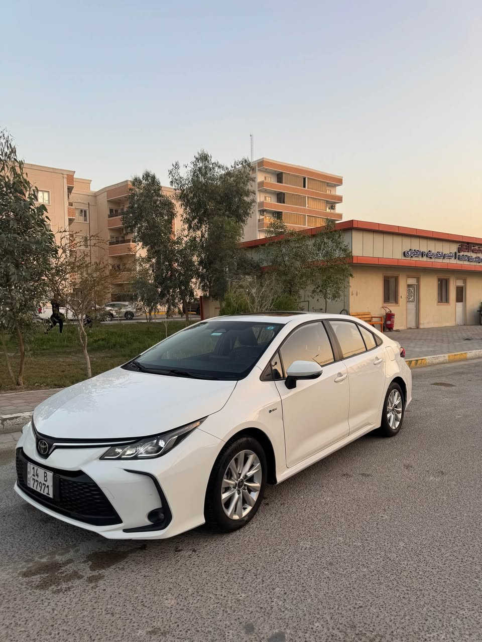 كورولا وارد صيني هايبرد موديل
2024
فول مواصفات فتحة وكشنات
جلد دخول ذكي كاربلي
ماشية 14200 كيلومتر قابلة
للزيادة
تبريد قطعتين وباقي المواصفات
معروفة
بيها ٣ رصعات فقط كفالة من
الصبغ والتبديل
سعر البيع 147 ورقة ابو الخصيب, البصرة


**إذا كنت صاحب هذا الإعلان وتريد حذفه لأي سبب، رجاءا أرسل رسالة إلى الدعم الفني**