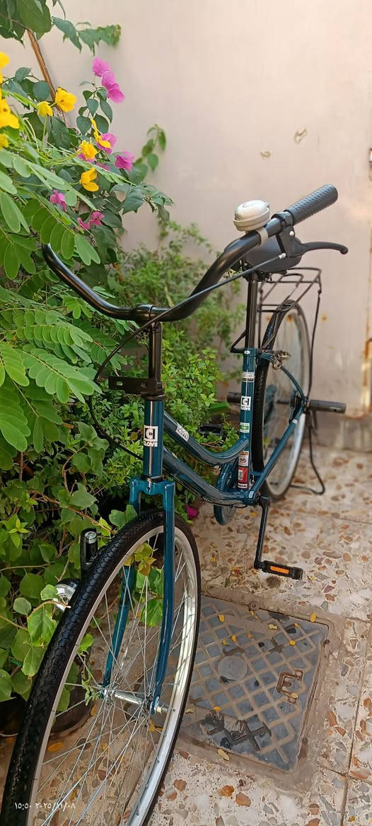 السلام عليكم باسكل كلوف موديل 2020
الباسكال كامل ونضيف قبل فتره خذته من كرار ابو النقش
الشراي يطب خاص والي ميشري لا يتعبني


**إذا كنت صاحب هذا الإعلان وتريد حذفه لأي سبب، رجاءا أرسل رسالة إلى الدعم الفني**