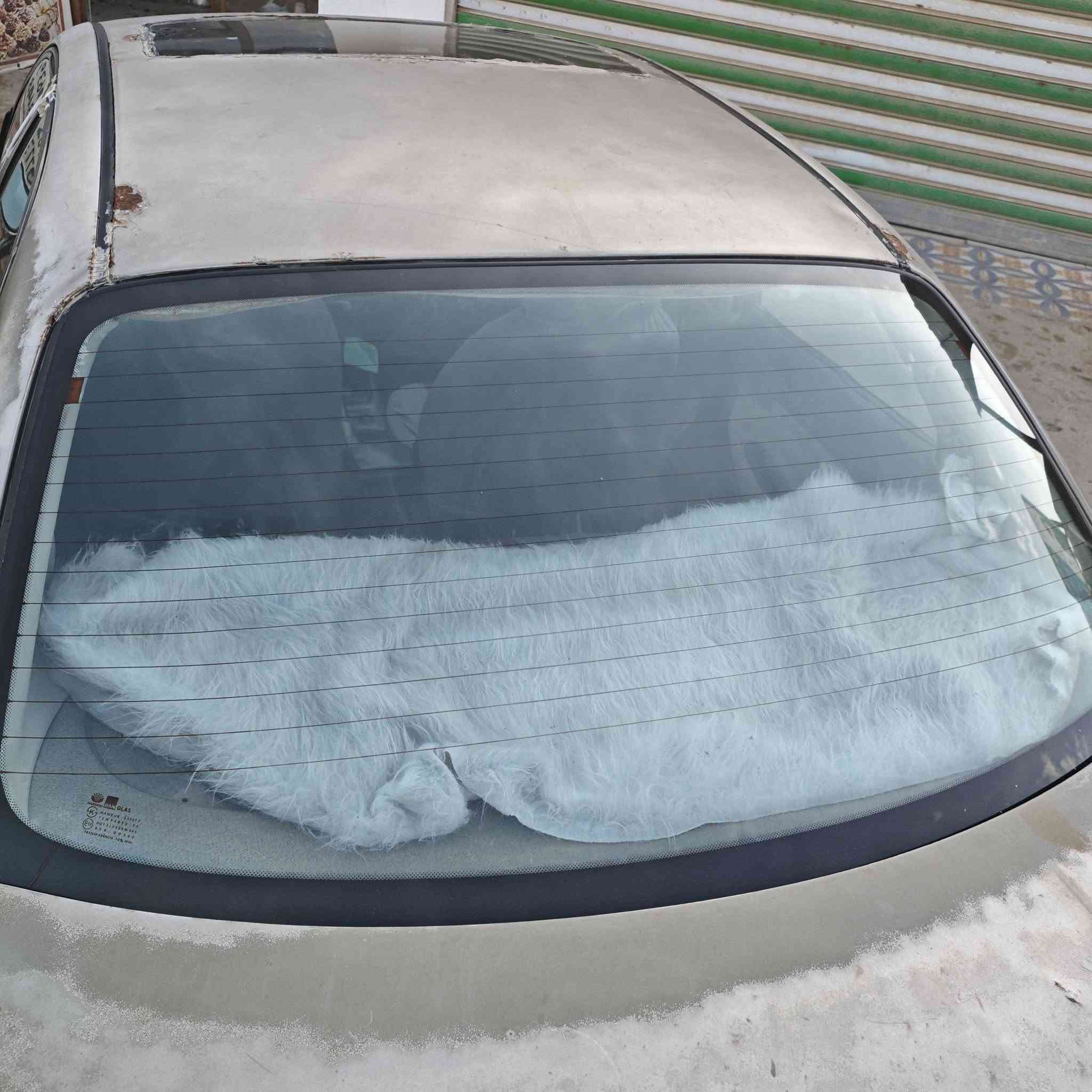 السلام عليكم
دايو نوبرا موديل1998
رقم كربلاء انكليزي مشروع وطني تحويل ثاني يوم سنويه لل30
مكاني بابل الحمزه الغربي سعر 35 وبيه مجال ***********
