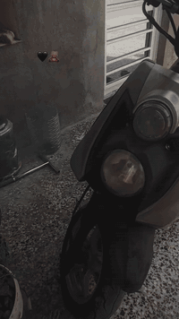 سكنس جبلي للبيع السعر مليون وميه 07869966174