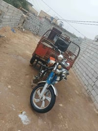 ستوته • مديل ١٠ • اوراق صولي