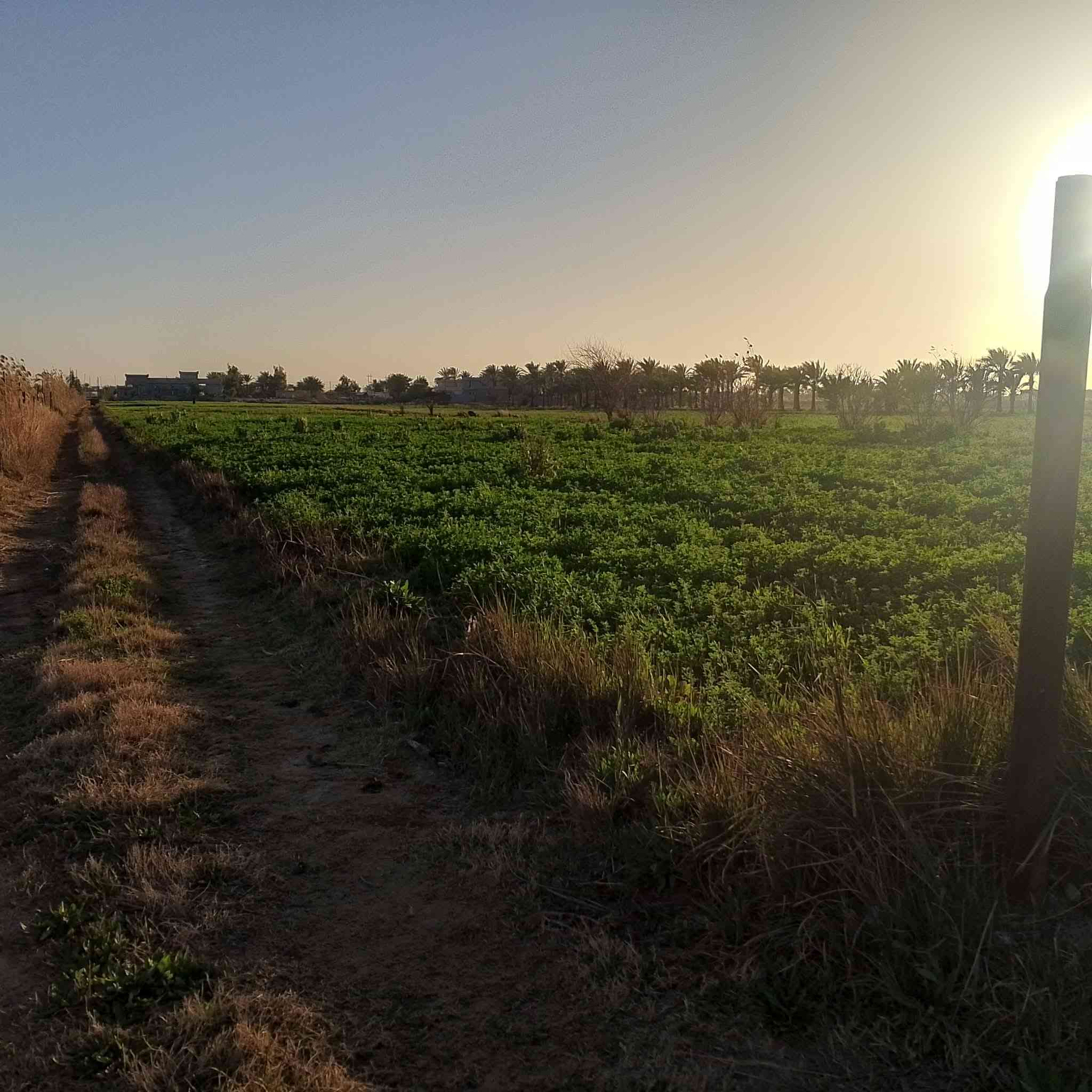 السلام عليكم كاع للبيع مساحة8دونم طابو زراعي سند25 بالسجر تريدها كلها او دونم او دونمين عادي
#سعر_الدونم22_قريبه_من_النهر 0782748101
*********** السجر خمس دقائق من الفلوجه

السلام عليكم ي
