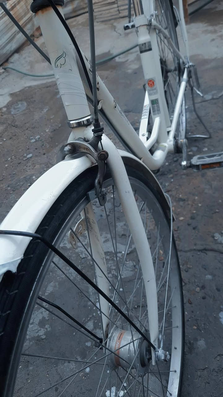 السلام عليكم بايسكل حجم 26 بايسكل حلو ومرتب قبل شهرين نازل رمبه 
حساس عكرب كله نضيف وجديد وحلو بايسكل مرتب السعر 
100 
مكانه الامين الثانيه خلف السده قرب مدرسه الكرفانات رقمي ***********
شراي هلا بيك اتشرف بل كل ♥
