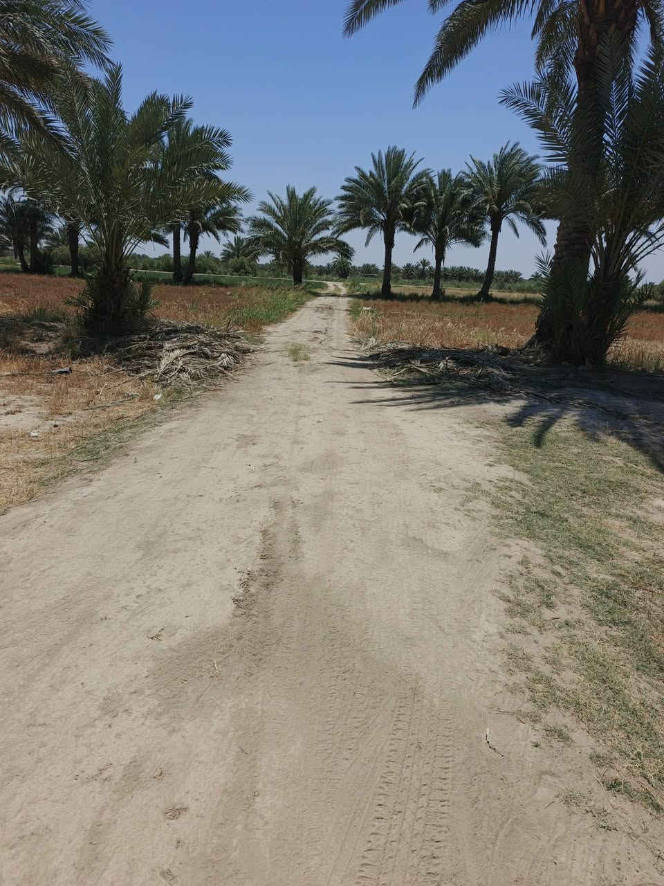 اسلام عليكم نص دونم لبيع طابو زراعي سند 25 الواجه 25متر
مكان الرض الدسميه تبعد عن الشارع العام 300متر
قرب حسينيه سيد شاكر بسعر مناسب استفسار اتصال
***********                 ***********
