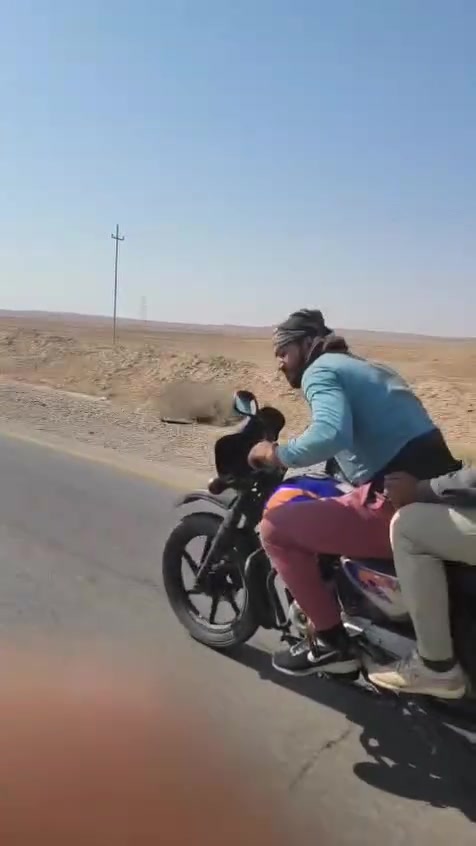 محرك بوكسر مكفول بالنشر للبيع العنوان الانبار القائم ***********
