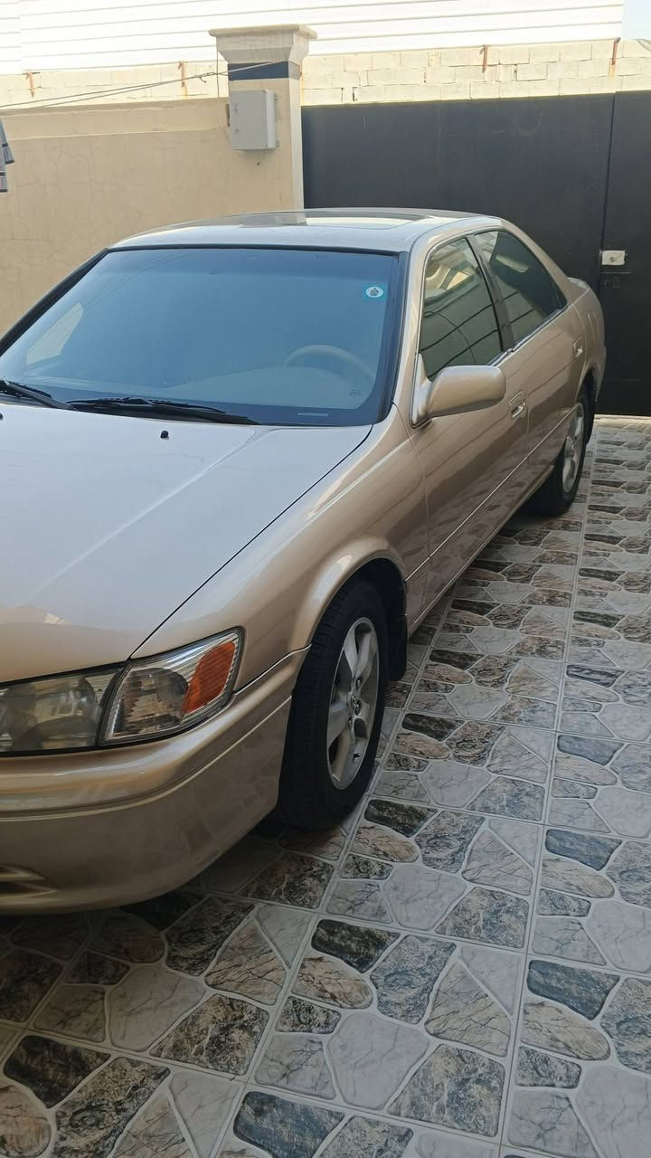 السلام عليكم اخوان كامري موديل 2000 فول مواصفات سلايت سقف وكشن كهرباء ويل كب بلادي وتخم تاير جواها من اخذتها جان صبغها محلو واني عدت الصبغ على ايدي وبعد العيد الموعد بوليشها السياري كلش حلوه ومابيها اي نقص متصرف عليها دينار واحد اربعه سلندر (2200) المحرك المرغوب اتصل وتدلل وهذا رقمي *********** ابو سيف صحب السياره وشرط تريد تحويل تريد وكاله
