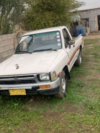 ١٩٨٩ • دجيل صلاح الدين • نضيفه