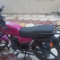 شاينك • سكنر • ٢٦