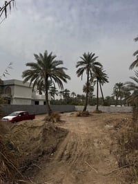 للبيع  1120 متر طابو  باوي سكن فقط  وجه 24  نزال 46  كامل خدمات وجه ال...