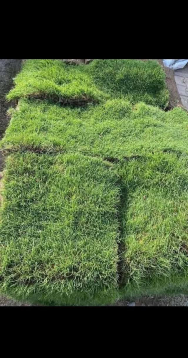 انواع الثيل عدنه وبسعار تنافسيه رقم الهاتف ***********
