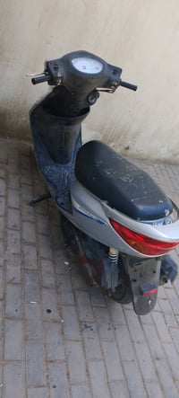 بريز ببغاء للبيع صارلي 15 يوم من نزلتهه من الرنبه وطالع بيهه 4 مرات بس...