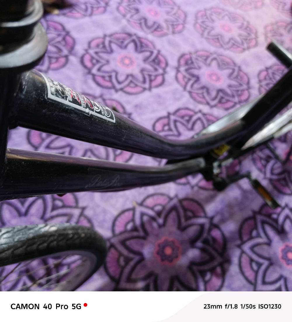 النجف بالزراعي يم المطحنه 