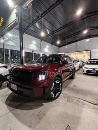 تيلورايد • ٢٠٢٣ • ٧ مقاعد