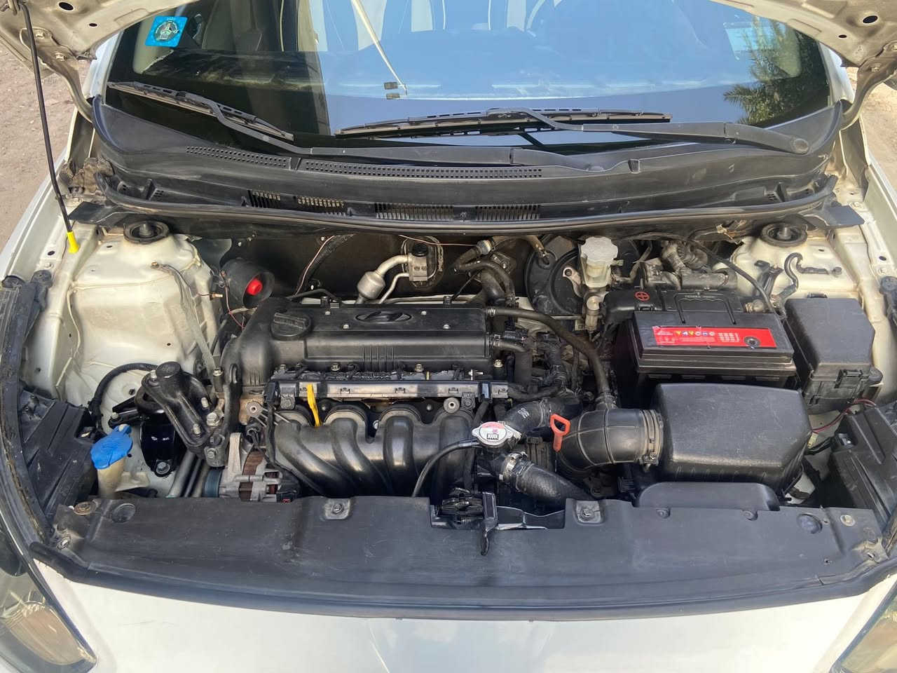 السلام عليكم
اكسنت ٢٠١٣ خليجي
محرك١٦٠٠
كفالة عامة من الصبغ عدة الدوسة موضح كلشي بلسونار
محرك وكير بحالة ممتازة
شاشة وكامرة
حساسات خلفية
اشاير بلمري
بأسمي تحويل مباشر
تبريد ثلج
حدادية جديدة
تخم تاير 
ماشية 84
السيارة مناقصهة اي شي بلعافية ع الياخذهة
السعر ١١٠ وبيهة مجال 
بغداد العطيفية
***********
