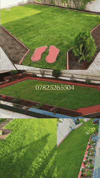 🔸 ترتيب وتنظيم الحدائق ☘️
🔸 زراعة شتلات وأشجار زينة🌹
🔸 تقليم وتعديل الأشجار      ☘️
🔸 تنسيق جمالي حسب ذوقك🌹
 
التفاصيل اكثر الاتصال ع الرقم
***********
او مراسلة الصفحة
