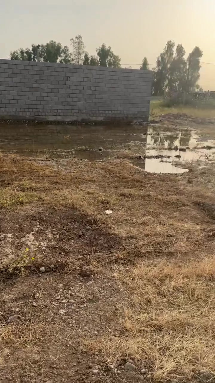 نهايه شارع علي شاهين ٣٠٠ متر واجهه ١٨ تكدر تقسمه قطعتين ١٥٠ ب ١٥٠ واجهه يصير ٩ امتار
ركن خدمات كامل بي مي كهرباء وتبليط كلش قريب موضح بل فيديو 

***********
