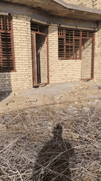 السلام عليكم عندنا هياكل في منطقه الجزيره السياحيه في بغداد سنه 25 الهيكل الواحد ب 90 مليون ***********
