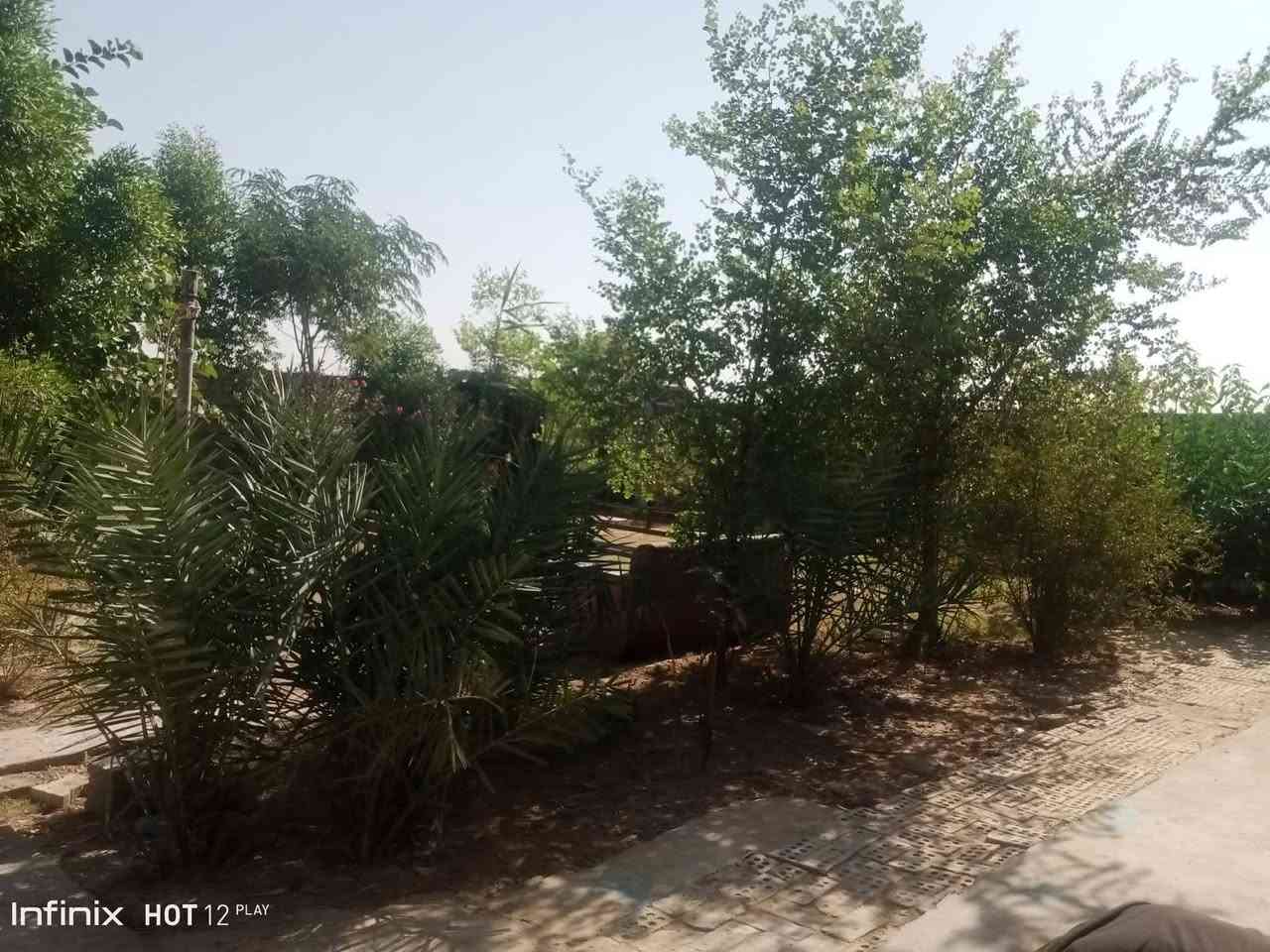 سلام عليكم
نشكر صاحب الكروب على الموافقه 

دار للبيع 
مساحه 930 متر 
يتكون من استقبال وصاله وغرف نوم 3 وصحيات داخليه
سقف البيت سندويج 
رقم الهاتف ***********
سعر 50
للستفسار اتصال على رقم
 العنوان بغداد حسينيه المعامل سياحي منطقه حي الجوادين 
المنطقه كلها راح تتبلط تم قص الفرع بل كامل
