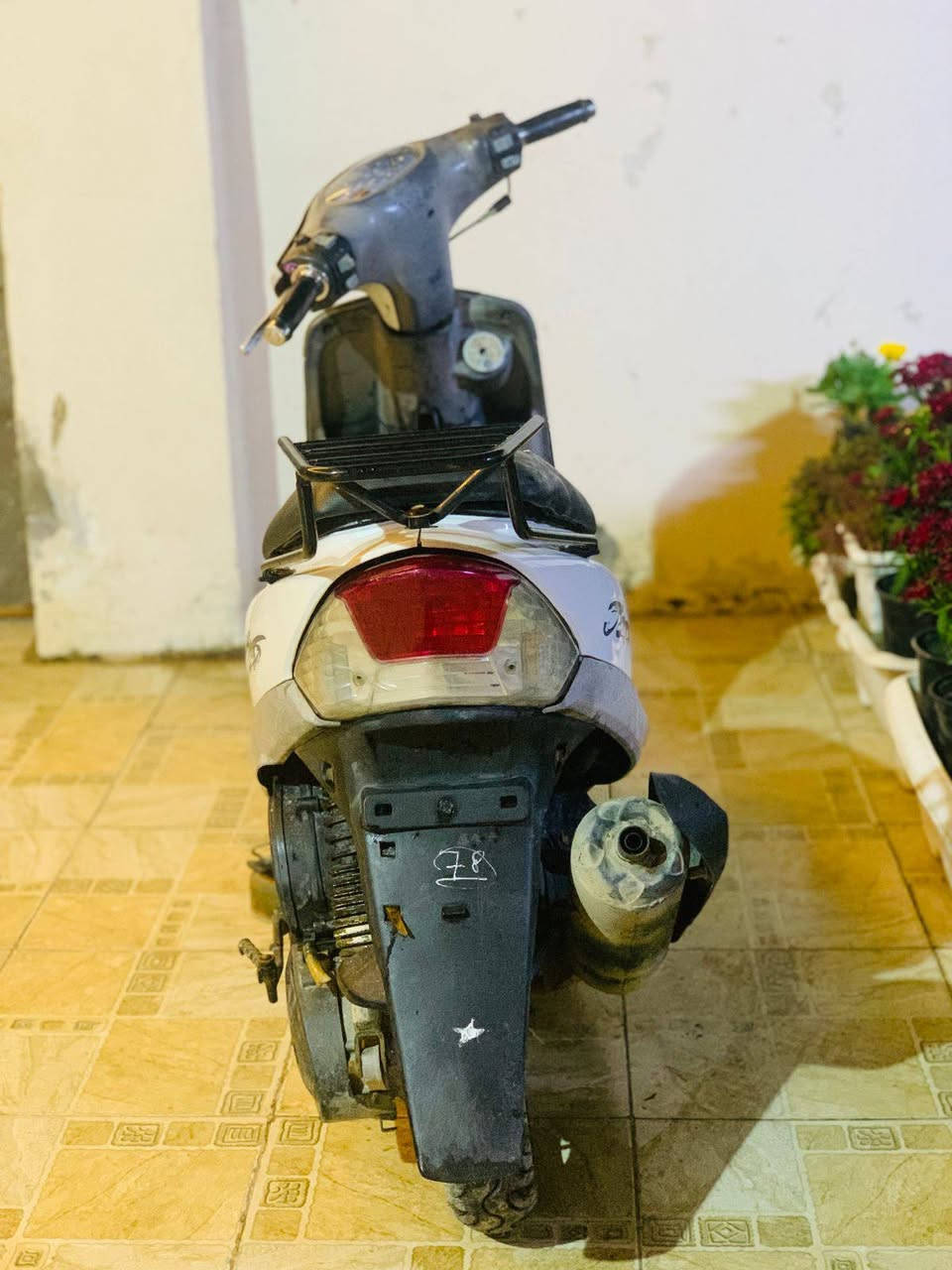 ماكس منغولي بلادي49
السعر/450 وبيها مجال 
حله مركز 
***********
