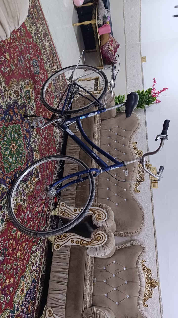 سلام عليكم بايسكل لبيع حجم 27 المكان كربلاء شارع حله طويريج السعر 75 وبي مجال *********** وبي واتساب
