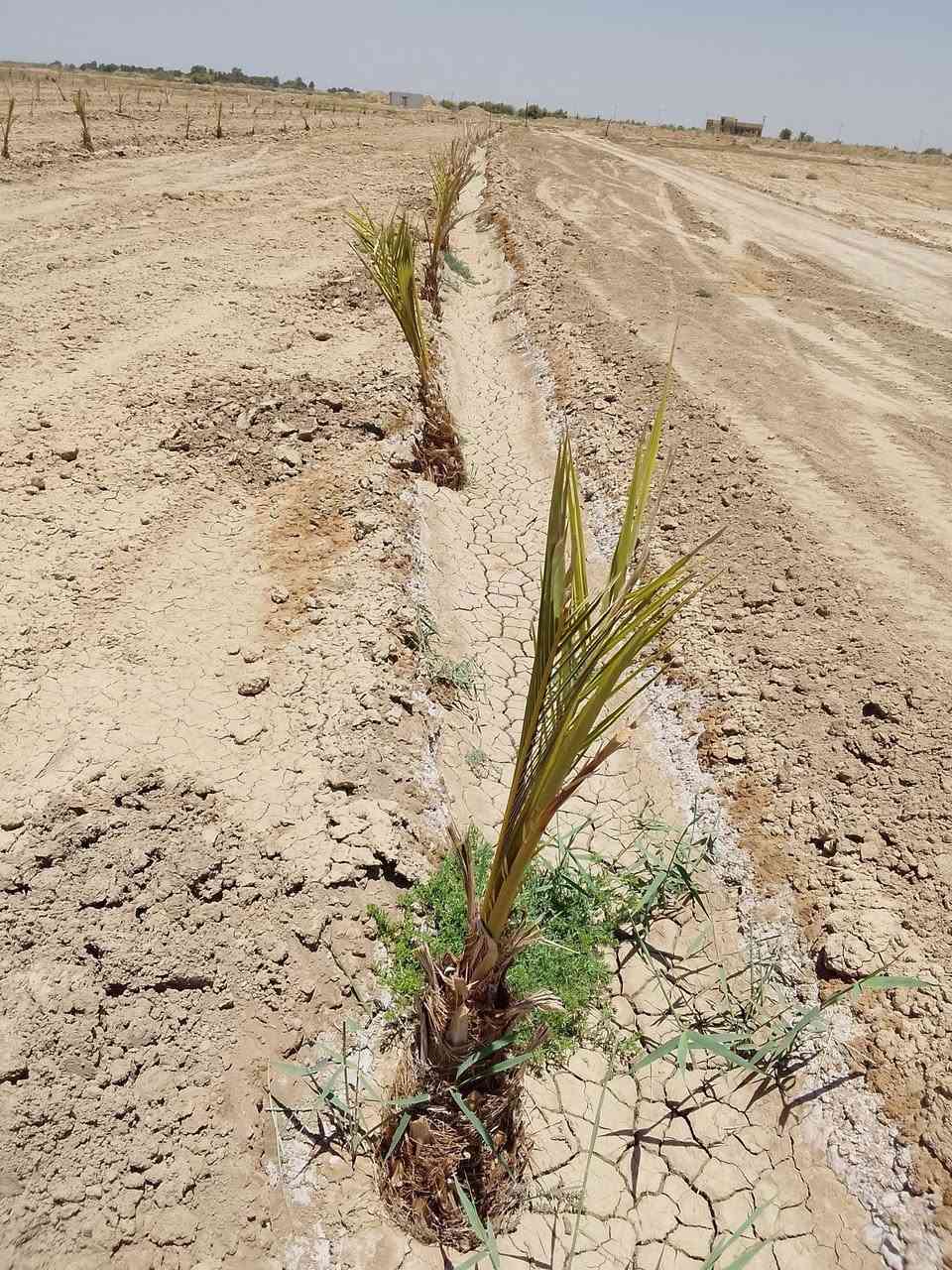 ارض زراعيه للبيع دونمين المكان على طريق الدغاره الشوملي تبعد عن الشارع 600متر ماي متوفر شتا صيف يوجد كهرباء و مدرسه يوجد داخل الارض200نخله***********
