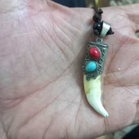 سن الذيب • أصلي • الدوره ابو دشير