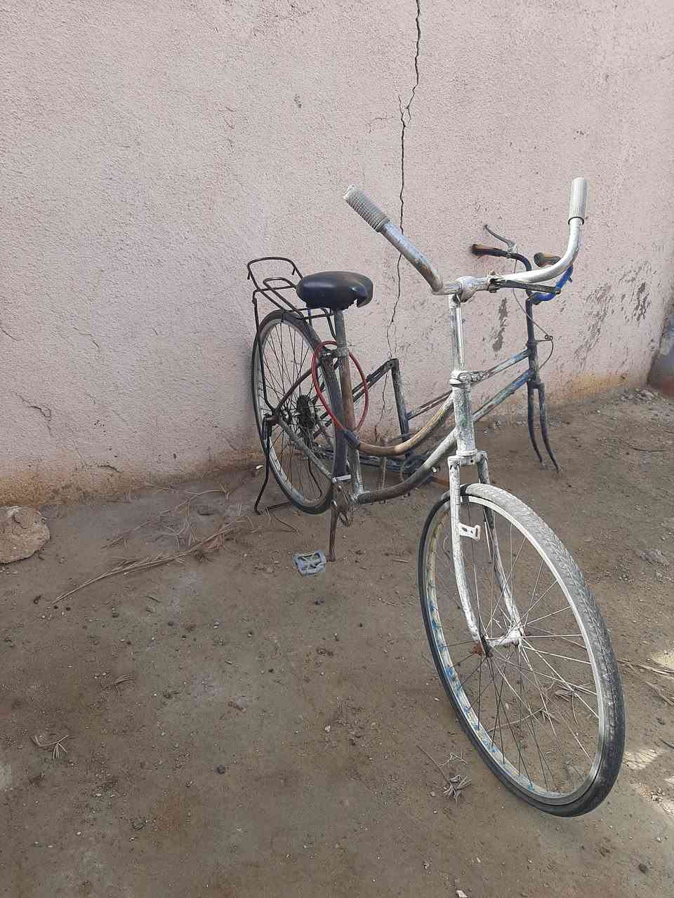 سلام عليكم  باسكل البيع +الشه حجم 27 مكان مشخاب والسعر 10الف


**إذا كنت صاحب هذا الإعلان وتريد حذفه لأي سبب، رجاءا أرسل رسالة إلى الدعم الفني**