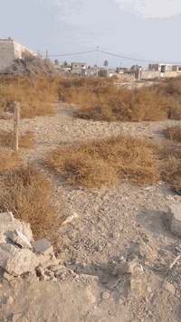 قطعه للبيع الرجيبه منطقته امسعيده مساحه ١٠٠متر للبيع سند ٢٥ سعره ٧،٥٠٠مليون رقم تلفون *********** وبيك خير وتددل اتصل
