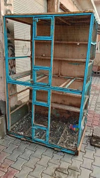 قفص للبيع ارتفاع 2 متر العرض في 1 متر العمق 80 سعره 40 موجود بالمحل لل...