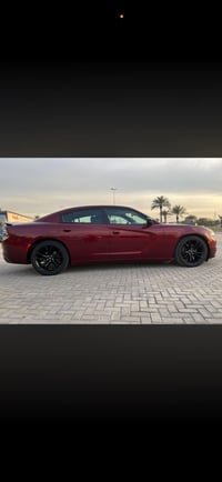 جنوط • بويل • SXT18