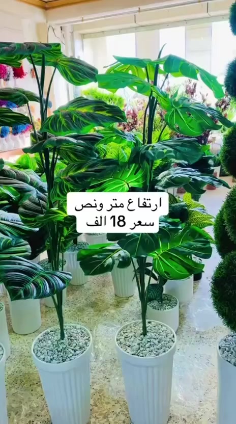 خانقين مقابل معمل النسيج مجاور دلسوز البزاز لا يوجد توصيل مفتحين من 2 إلى 12 مساء


**إذا كنت صاحب هذا الإعلان وتريد حذفه لأي سبب، رجاءا أرسل رسالة إلى الدعم الفني**