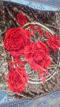 بطانيات خليجي • نفرين • جملة