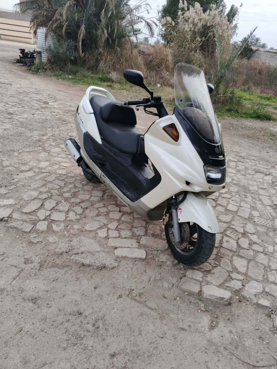 السلام عليكم ماجستى فحل Abs مكينه كهربائيات صدر كله جديد السعر 750 وبيهه مجال التواصل خاص رقم ***********
