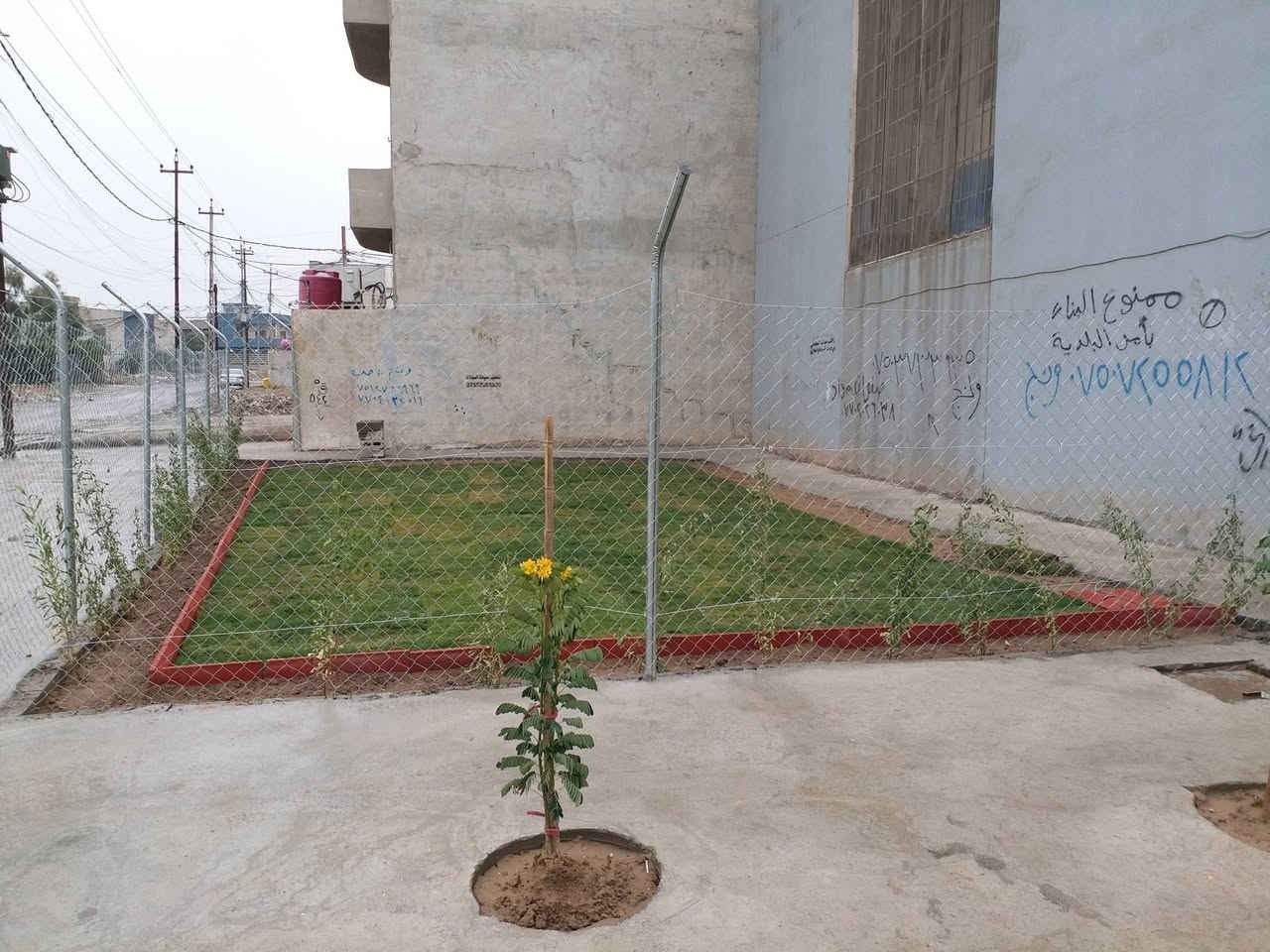 تاسيس وترتيب الحدائق وباسعار مناسبة ***********-----***********
