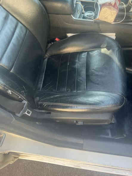 السلام عليكم 
تخم كشنات جارجر جلد السعر 300$
***********
