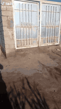 صباغ • دهانات • ذي قار الشطرة