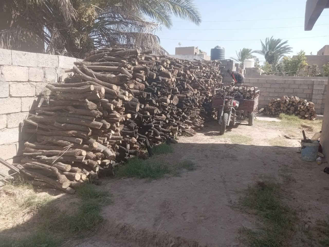 السلام عليكم مكلف بنشر
يوجد خشب البيع تريد ستوته تريد كية 
رقم حاحب الخشب ***********
