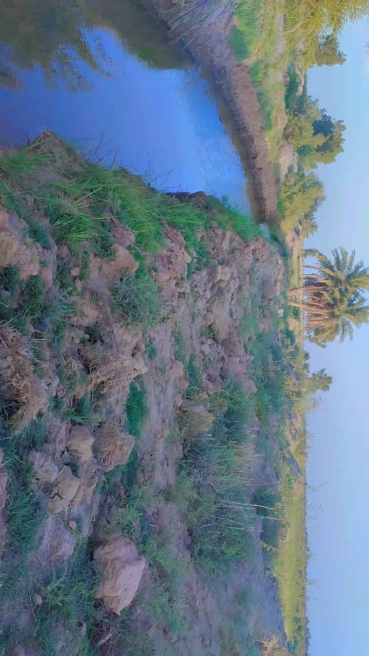 (بسم الله الرحمن الرحيم)
سلام عليكم ورحمه الله وبركاته 
ارض زراعيه (للبيع) مساحتها (15دونم) زراعي .. حدودها مرسومه وكامله ::مكانها قرية الشهيد (النخيلة)
 لل استفسار والتواصل معي او مع هذا الرقم ***********..
